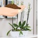 Santino Self Watering Planter CALIPSO Oval Shape L 9.4 Inch x H 5.1 Inch Jade/Jade Flower Pot   564101745
